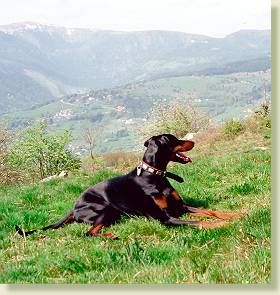 Auf dem Vogesengipfel mit Blick ins Tal, Mai 2002